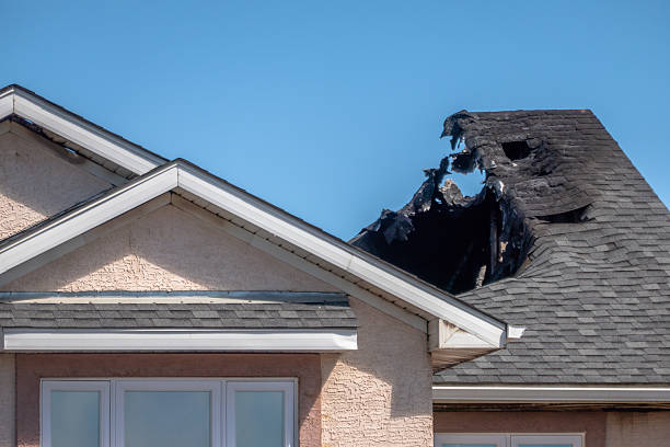 Top rated local Odor Removal specialists in Warsaw, KY